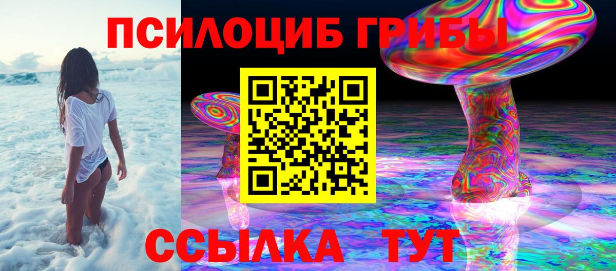 Псилоцибиновые грибы GOLDEN TEACHER Тимашёвск